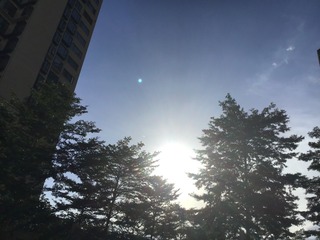 B4E72D88-BBFA-49D5-917E-44E06E270BF8/L0/001