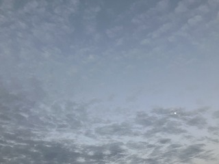 BA37676A-325F-4B1C-B731-E82430D893A7/L0/001