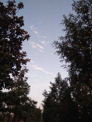 106