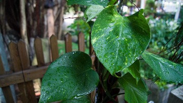 DSC00860.jpg