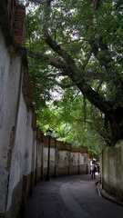 DSC00946.jpg