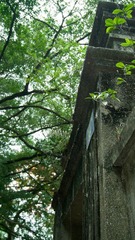 DSC01171.jpg