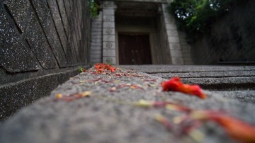DSC01176.jpg
