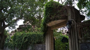 DSC01212.jpg