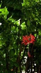 DSC01268.jpg
