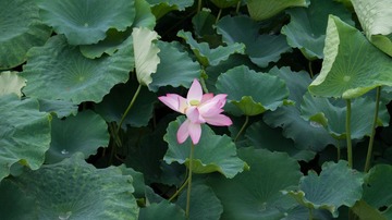 DSC01326.jpg