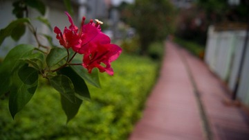 DSC01468.jpg