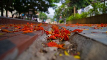 DSC01493.jpg