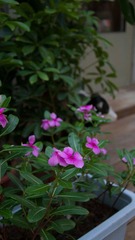 DSC01566.jpg