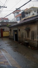DSC01356.jpg