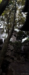 DSC03909.jpg