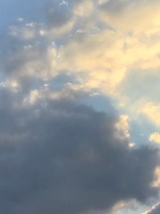 77B101C1-24E4-4FA6-BB7E-3AFD2B25E93D/L0/001