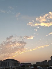1000050109