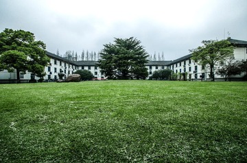DSC_0038.jpg