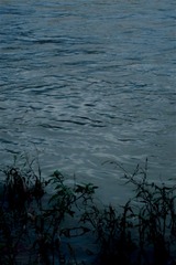 419E63B0-81C7-4D29-A694-ABEE16C6EEAA/L0/001