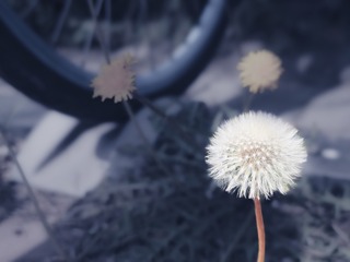 1000101089