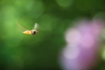 tmp_abcfe8d8ce51040885f369bf79c9c8eaf2c2efd2806fae08