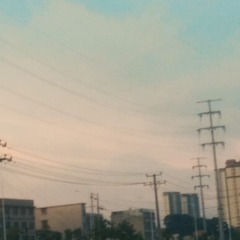 2770035