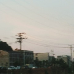 2770034