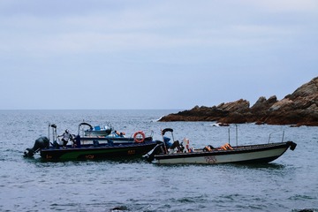 29050207-3A4F-4922-A0C6-AD40445A4826/L0/001