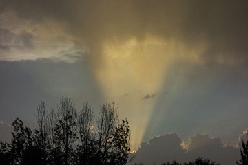 CA995289-F4C0-4AFA-9E0F-0E6BB76A8876/L0/001