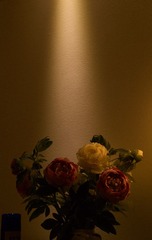2365D4F9-BD98-4C1D-9785-DB77F6BDB908/L0/001