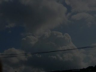 84392