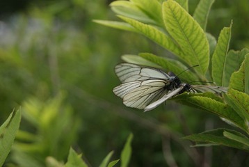 DSC00201.JPG
