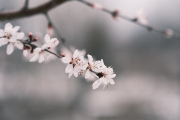 6F79E603-DCFE-46FE-A1D7-8B0EC5DB618A/L0/001