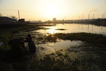 DSC_0982.JPG