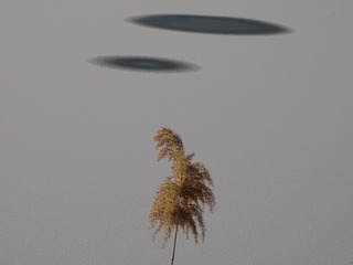 30303