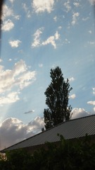 677354E1-0C47-40DA-8AD9-E1E989C1BFEC/L0/001
