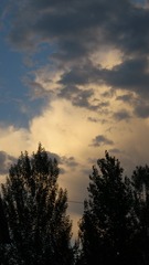 19A37DAF-0812-43BC-9570-F3A0EAD3350B/L0/001