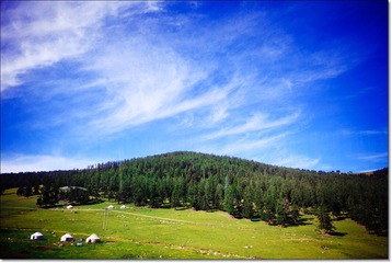 IMG_8811ss