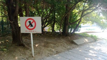 DSCF0938.jpg
