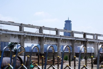 IMGP3764.jpg