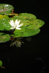 IMGP3789.jpg