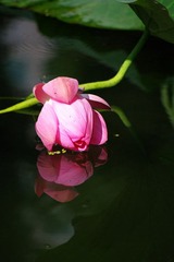 IMGP3790.jpg