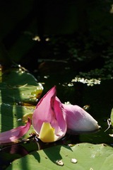IMGP3839.jpg