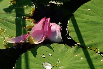 IMGP3843.jpg