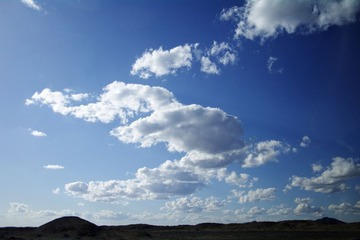 IMGP0498.jpg