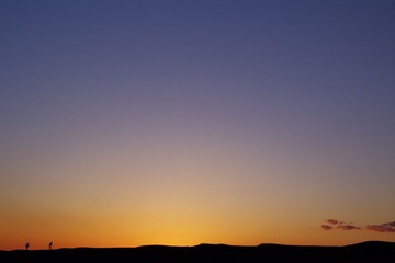 IMGP0655.jpg