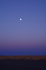 IMGP0657.jpg