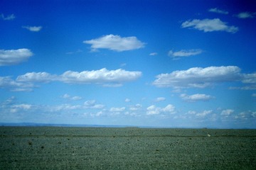 IMGP0391.jpg