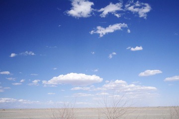IMGP0400.jpg