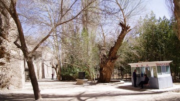 IMGP0313.jpg
