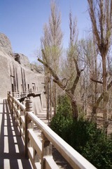 IMGP0316.jpg
