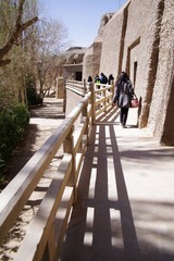 IMGP0318.jpg