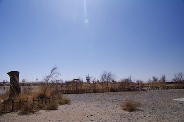 IMGP0341.jpg