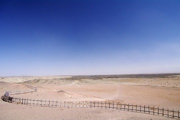 IMGP0372.jpg